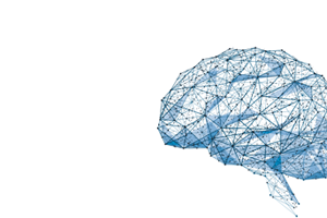 Brain made upf technological connections