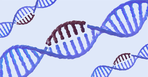 The Path To Heritable Genome Editing CITI Program