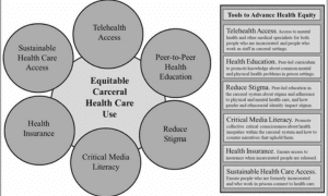 telehealth diagram