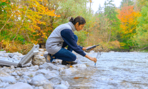 scientific fieldwork