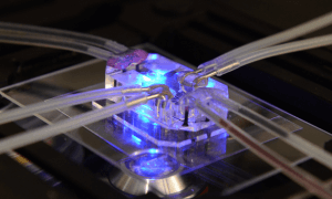 human based research technologies