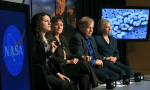 arsenic microbe study scientific american