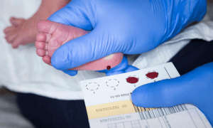 danish babies genetic study science