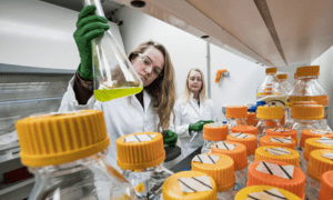 nrel postdoctoral fellowship