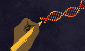 biology code big think