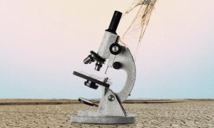 clinical trial spending washington post