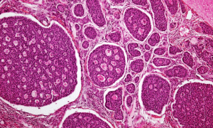 blood cleansing science