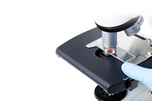 closeup of side on microscope