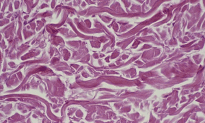 revive old cells science alert