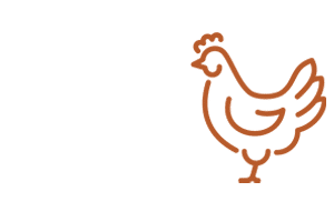 line icon of chicken