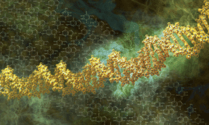 synthetic biology science