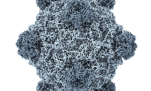 ai viruses ny times