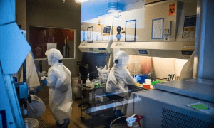 ai bioweapons science