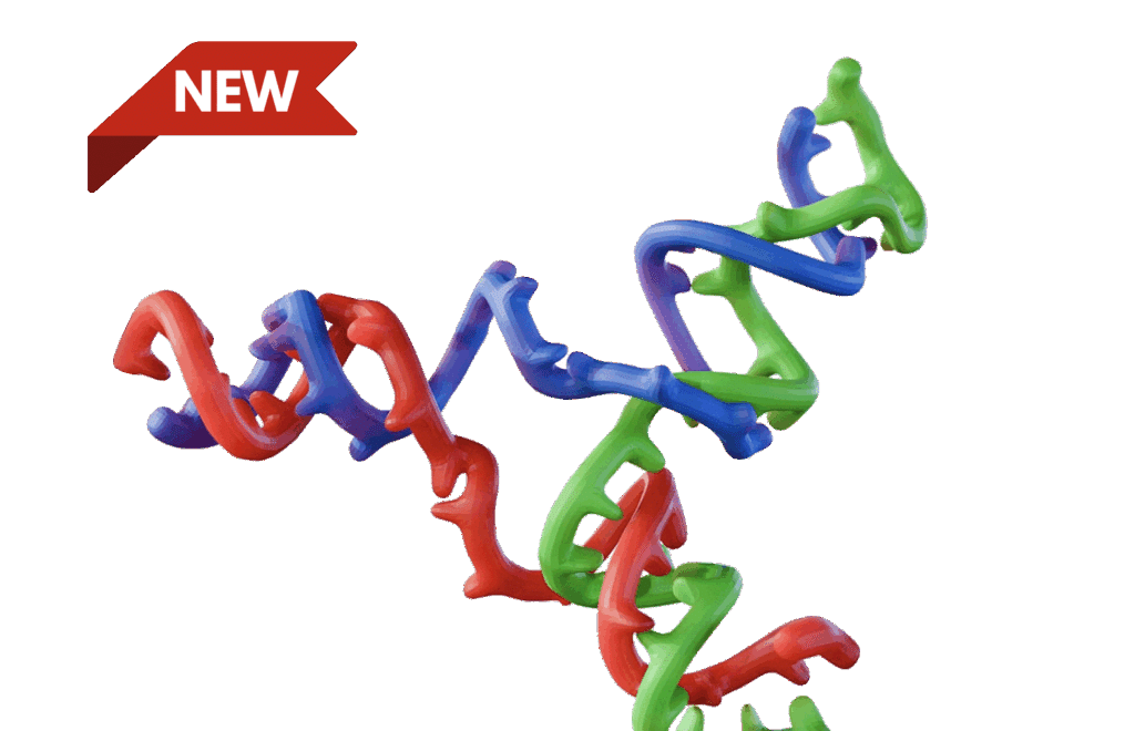 dna strands